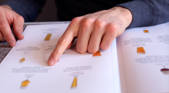 I bicchieri di degustazione della birra